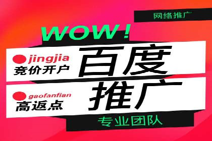 SEM外包助力品牌增长案例解析